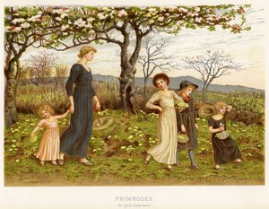 サクラソウ（クロモリト） 作： Kate Greenaway